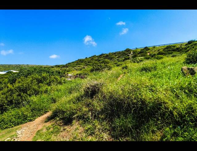 LAND FOR SALE IN DIAZ INDUSTRIA